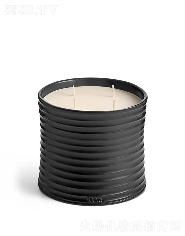 LOEWE̖(ho)ʲ㾫ϞT 100